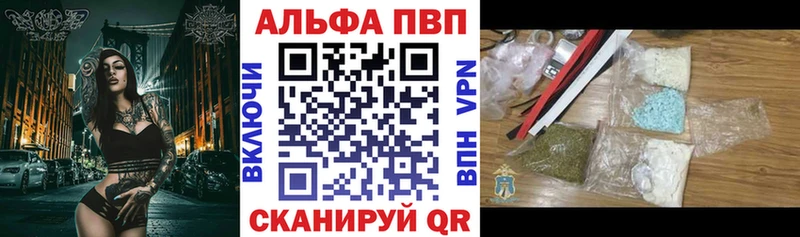 A-PVP СК  Новокузнецк 