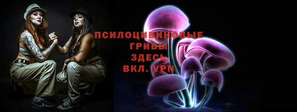 ПСИЛОЦИБИНОВЫЕ ГРИБЫ Абаза