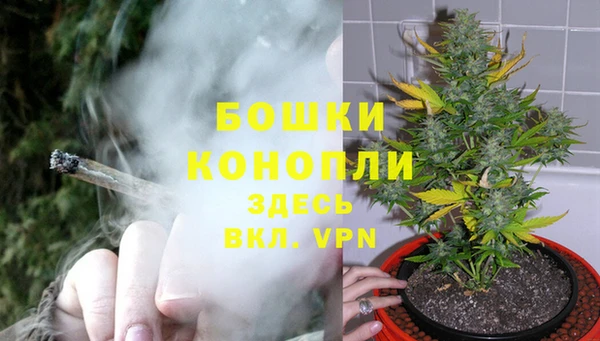 ПСИЛОЦИБИНОВЫЕ ГРИБЫ Абаза